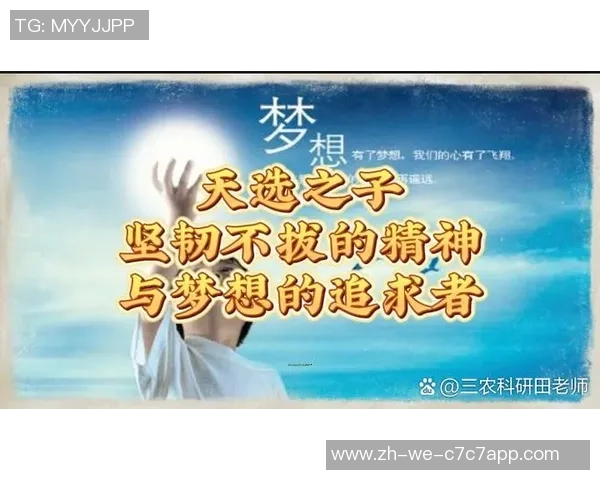 足球树的传奇与启示探讨球场文化与人生哲学的交融